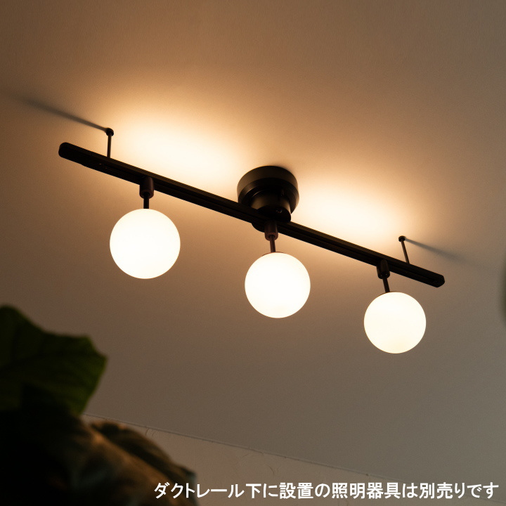 ライティング ダクトレール ベーシック LEDライト付き LIGHTING DUCT RAIL with LED  003432  【BRID】ブリッド