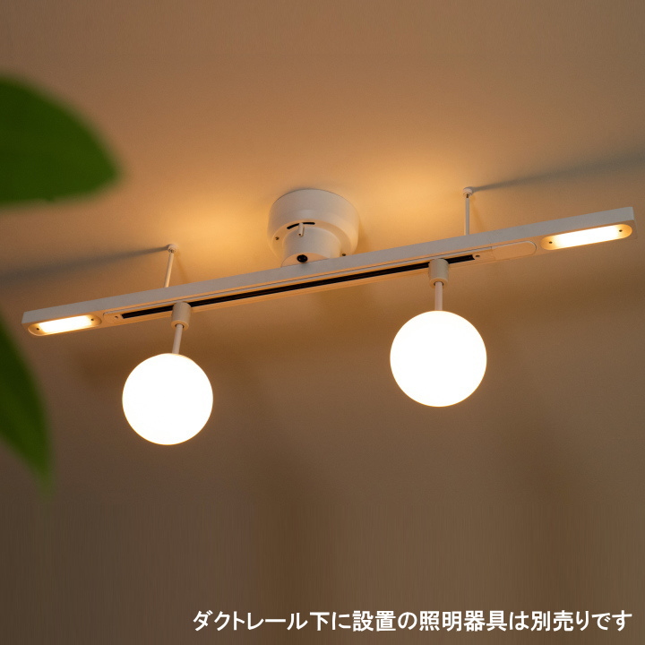 ライティング ダクトレール with LED ダブル LIGHTING DUCT RAIL with LED Double  003433  【BRID】ブリッド