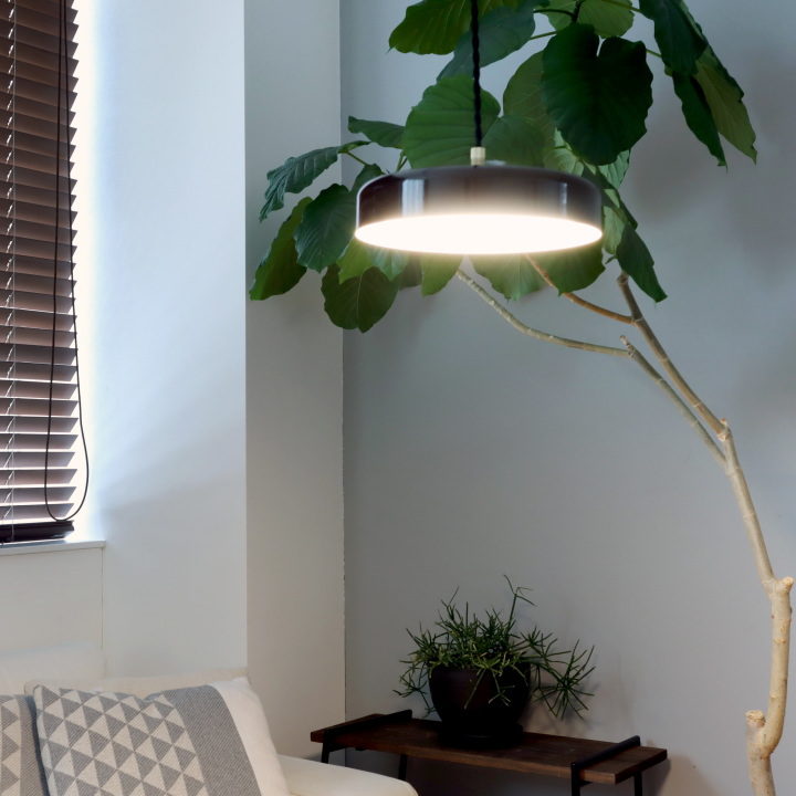 イオン LED ペンダントライト （L)  EON PENDANT LIGHT   003415【BRID】ブリッド