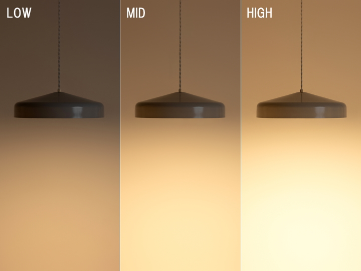 イオン LED ペンダントライト （L)  EON PENDANT LIGHT   003415【BRID】ブリッド