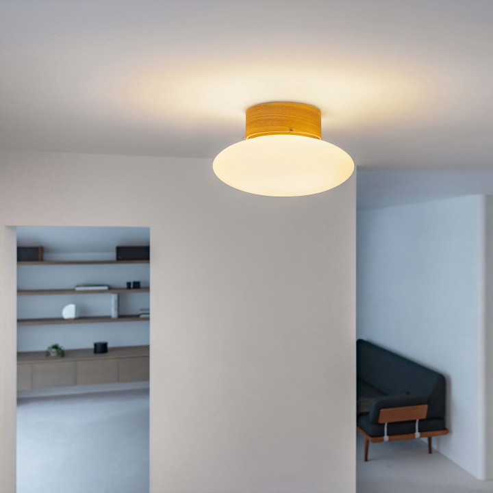 ムカヴァ シーリングライト 3灯 MUKAVA CEILING LIGHT LT-4710【INTERFORM】インターフォルム