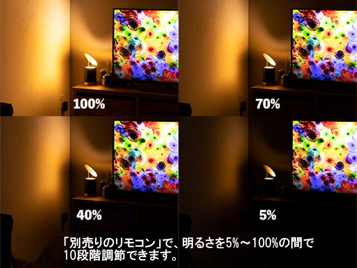 マンダレイ LEDアッパーライト MANDALAY UPPER LIGHT TC-2017 【TIC】